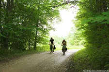 Zwei Radfahrer radeln über einen Waldweg in Dänemark