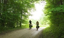 Zwei Radfahrer radeln über einen Waldweg in Dänemark