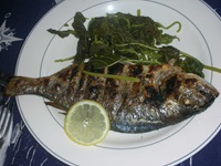 Mittagessen auf der Panagiota - Ein Teller mit einem Fisch, einer Scheibe Zitrone und grüner Beilage