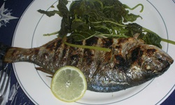 Mittagessen auf der Panagiota - Ein Teller mit einem Fisch, einer Scheibe Zitrone und grüner Beilage