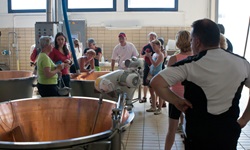 Eine Touristengruppe in der Produktionshalle einer Fabrik, in der der bekannte Grana Padano hergestellt wird.