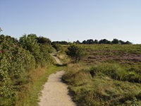 Ein Pfad aus feinem Kiesel und Sand durch die wundervolle Landschaft an der Nordseeküste