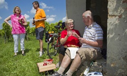Vier Radler machen in einem Weinberg Pause und genießen im Schatten eines Gebäudes ein Picknick.