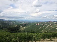 Blick über die zahlreichen Weinreben und ihre Orte im Piemont