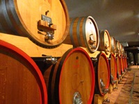 Weinfässer in einem der zahlreichen Wenkeller im Piemont