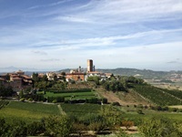 Einer der vielen Weinorte mit seinen Weinreben im Piemont