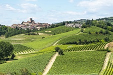 Das typische Piemont: Weinberge und charmante Orte, wohin das Auge blickt.