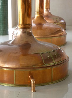 Blick auf drei Braukessel in einer Brauerei in Pilsen