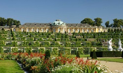 Das Schloss Sanssouci bei Potsdam liegt inmitten eines wunderschön bepflanzten, terrassenartig angelegten Gartens.