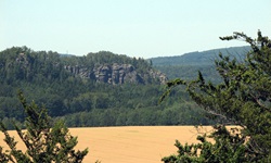 Die Felsen des Elbsandsteingebirges erheben sich über einem reifen Kornfeld.