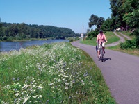 Ein Radfahrer auf dem von einem blühenden Uferstreifen gesäumten Elbe-Radweg.