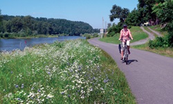 Ein Radfahrer auf dem von einem blühenden Uferstreifen gesäumten Elbe-Radweg.