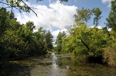 Flusslandschaft auf der Prag-Wien einfach Radreise