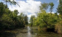 Flusslandschaft auf der Prag-Wien einfach Radreise