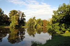 Blick über einen Fluss mit Bäumen auf der einfachen Rareise von Prag nach Wien