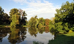 Blick über einen Fluss mit Bäumen auf der einfachen Rareise von Prag nach Wien