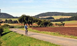 Eine Radlerin fährt auf einem asphaltierten Weg entlang