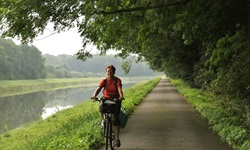 Eine Radlerin fährt auf dem Rhone-Radweg dem Fluss entlang