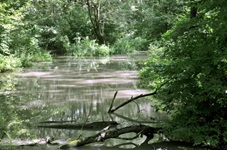 Flusslandschaft auf der Radreise von Prag nach Wien