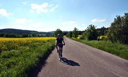 Ein Radfahrer radelt auf dem Greenway-Radweg der Radreise von Prag nach Wien