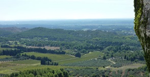 Blick über die Landschaft der Provence mit Weinreben, Feldern und Wäldern