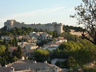Blick auf eine Stadt mit Burg im Hintergrund in der Provence
