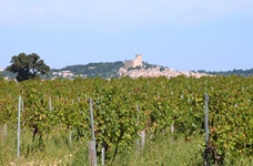 Weinreben in der Provence mit Blick auf eine Stadt mit Burg im Hintergrund