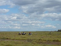 Drei Reiter reiten in der Camargue aus