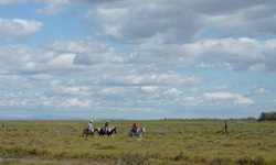 Drei Reiter reiten in der Camargue aus