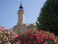 Blik auf den Tour de Constance in Augues Mortes in Frankreich - davor sind zwei roso und pink blühende Büsche zu sehen