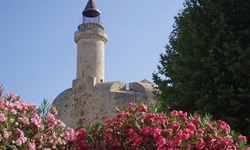 Blik auf den Tour de Constance in Augues Mortes in Frankreich - davor sind zwei roso und pink blühende Büsche zu sehen