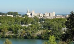 Blick auf den Papstpalast von Avignon