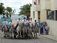 Camargue-Pferde galoppieren mit ihren Reitern auf einer Straße durch eine Stadt in Frankreich