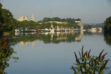 Blick über die Rhône auf Avignon mit dem Papstpalast und der Kathedrale Notre-Dame-des-Doms.