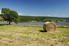 Strohballen vor einem blühenden Lavendelfeld in der Provence.