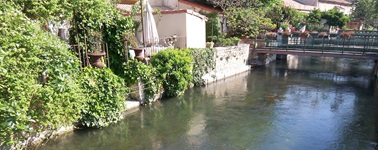 Mit Efeu bewachsene Häuserfront am Ufer der Sorgue in L'Isle sur la Sorgue.