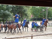 Berittene Pferdehirten (Csikós) führen die "Ungarische Post" vor, bei der der Hirte mit jeweils einem Bein auf dem Rücken zweier nebeneinanderlaufender Pferde steht.