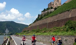 Radfahrer auf dem Rhein-Radweg radeln an einer Weinterrasse, auf dem eine Burgruine zu sehen ist entlang