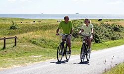 Zwei Radfahrer auf einer Straße durch die Landschaft von Föhr