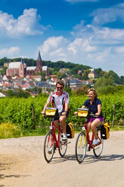 Ein Radlerpärchen fährt auf eiem asphaltierten Radweg an einem Weinberg bei Oppenheim vorbei.