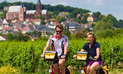 Ein Radlerpärchen fährt auf eiem asphaltierten Radweg an einem Weinberg bei Oppenheim vorbei.