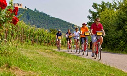 Fünf Fahrradfahrer auf einem asphaltierte Radweg unterhalb von Schloss Hambach.