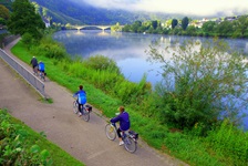 Vier Radfahrer fahren mit Ihren Rädern auf dem Mosel-Radweg