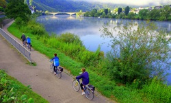 Vier Radfahrer fahren mit Ihren Rädern auf dem Mosel-Radweg