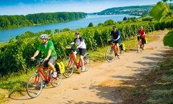 Vier Radfahrer radeln bei Nierstein am von Weinbergen gesäumten Rhein entlang.