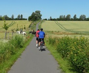 Zwei Radler fahren auf einem asphaltierten Radweg zwischen Kornfeldern hindurch, während vor ihnen zwei Reiter den Weg überqueren.