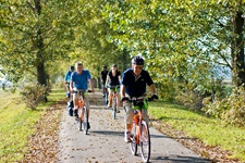 Eine Radlergruppe fährt durch eine Allee.