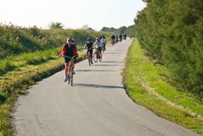 Eine Radlergruppe fährt auf einem asphaltierten Radweg durch die Po-Ebene.