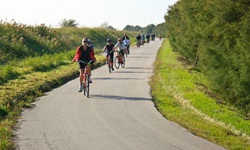 Eine Radlergruppe fährt auf einem asphaltierten Radweg durch die Po-Ebene.