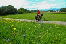 Eine Radlerin fährt auf einem asphaltierten Radweg an einer blühenden Blumenwiese vorbei.